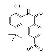 N-(5-tert-butyl-2-hydroxyphenyl)-4-nitrobenzamide结构式