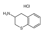 3-thiochromanylamine hydrochloride结构式