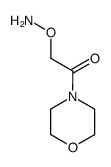 2-Aminooxy-1-morpholin-4-yl-ethanone结构式