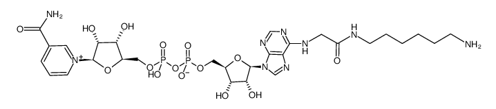 N-6-(N-(6-aminohexyl)carbamoylmethyl)-NAD structure