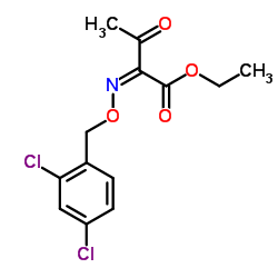 ETHYL 2-([(2,4-DICHLOROBENZYL)OXY]IMINO)-3-OXOBUTANOATE结构式