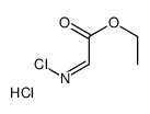 ethyl 2-chloroiminoacetate,hydrochloride结构式