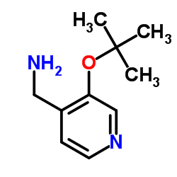 (3-tert-butoxypyridin-4-yl)methanamine structure