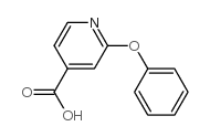 2-phenoxy isonicotinic acid picture