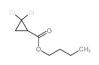 butyl 2,2-dichlorocyclopropane-1-carboxylate structure