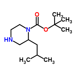 1-BOC-2-ISOBUTYLPIPERAZINE picture