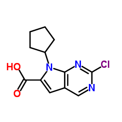 2-氯-7-环戊基-7H-吡咯并[2,3-D]嘧啶-6-甲酸结构式