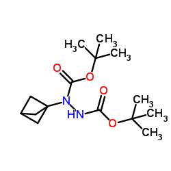 N-(3-双环[1.1.1]戊基)-N-[(2-甲基丙-2-基)氧羰基氨基]氨基甲酸叔丁酯结构式