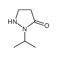 3-Pyrazolidinone,2-(1-methylethyl)-(9CI) picture