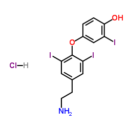 788824-70-4 structure