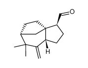 zizanal Structure