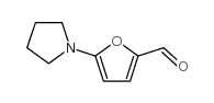 5-Pyrrolidin-1-Yl-2-Furaldehyde structure