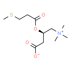 methylthiopropionylcarnitine Structure