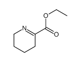 2-Pyridinecarboxylicacid,3,4,5,6-tetrahydro-,ethylester(9CI)结构式