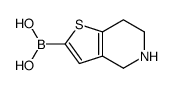 4,5,6,7-TETRAHYDROTHIENO[3,2-C]PYRIDIN-2-YL BORONIC ACID结构式