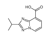 919990-89-9 structure