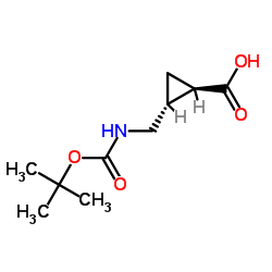 (1R,2R)-2-[({[(2-Methyl-2-propanyl)oxy]carbonyl}amino)methyl]cyclopropanecarboxylic acid structure