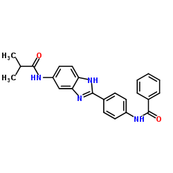 N-[4-(5-Isobutyramido-1H-benzoimidazol-2-yl)phenyl]benzamide图片