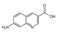 7-aminoquinoline-3-carboxylic acid structure