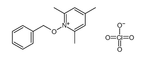 2,4,6-trimethyl-1-phenylmethoxypyridin-1-ium,perchlorate Structure