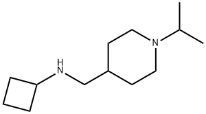 Cyclobutyl-(1-isopropyl-piperidin-4-ylmethyl)-amine结构式