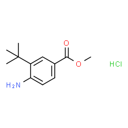 4-氨基-3-(叔丁基)苯甲酸甲酯盐酸盐图片