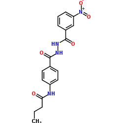 N-(4-{[2-(3-Nitrobenzoyl)hydrazino]carbonyl}phenyl)butanamide结构式