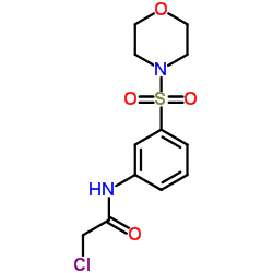 2-CHLORO-N-[3-(MORPHOLINE-4-SULFONYL)-PHENYL]-ACETAMIDE structure