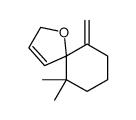 6,6-Dimethyl-10-methylene-1-oxaspiro[4.5]dec-3-ene Structure