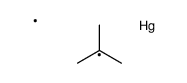 tert-butyl(methyl)mercury Structure