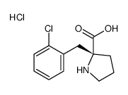 (R)-α-(2-chloro-benzyl)-proline.HCl图片