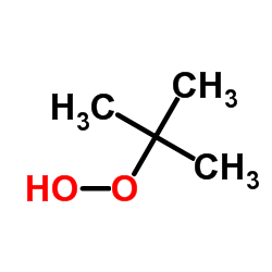 tert-Butyl Hydroperoxide Structure