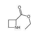 ethyl azetidine-2-carboxylate structure