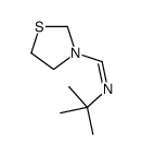 N-tert-butyl-1-(1,3-thiazolidin-3-yl)methanimine结构式