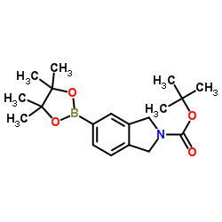 N-Boc-异吲哚啉-5-硼酸频哪醇酯结构式