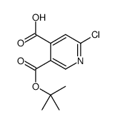 5-(TERT-BUTOXYCARBONYL)-2-CHLOROISONICOTINICACID结构式