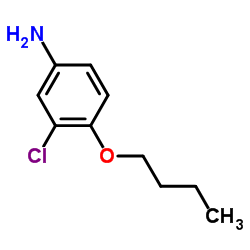 4-Butoxy-3-chloroaniline结构式