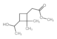 methyl 2-[3-(1-hydroxyethyl)-2,2-dimethyl-cyclobutyl]acetate结构式