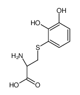 (2R)-2-amino-3-(2,3-dihydroxyphenyl)sulfanylpropanoic acid结构式