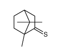 thiocamphor picture