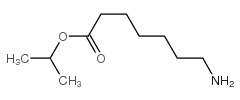 propan-2-yl 7-aminoheptanoate结构式