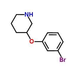 3-(3-Bromophenoxy)piperidine结构式