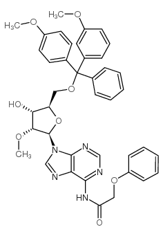 5′-O-DMT-2′-O-甲基-N6-苯氧基乙酰腺苷图片