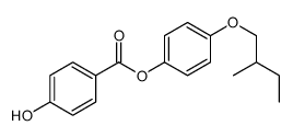 131205-07-7 structure