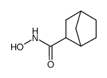 Bicyclo[2.2.1]heptane-2-carboxamide, N-hydroxy- (9CI) picture