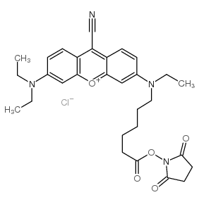 NIR-667 N-SUCCINIMIDYL ESTER picture