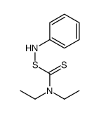 anilino N,N-diethylcarbamodithioate Structure