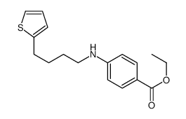 ethyl 4-(4-thiophen-2-ylbutylamino)benzoate Structure