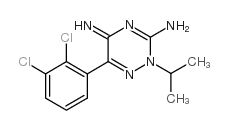 6-(2,3-dichlorophenyl)-3-imino-2-propan-2-yl-1,2,4-triazin-5-amine structure