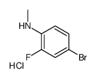 1197930-28-1结构式